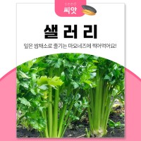 상품 섬네일