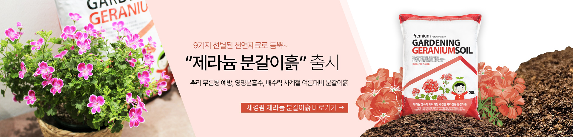 제라늄 분갈이흙